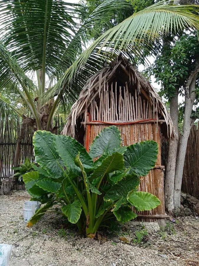 Campsite Muelle36 Hostel Bacalar