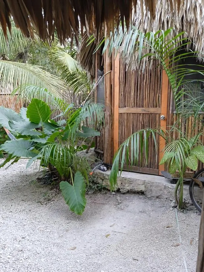 Muelle36 Hostel Bacalar Campsite