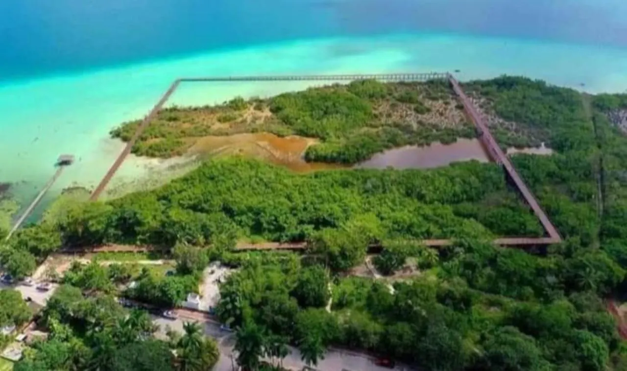 Campsite Muelle36 Hostel Bacalar