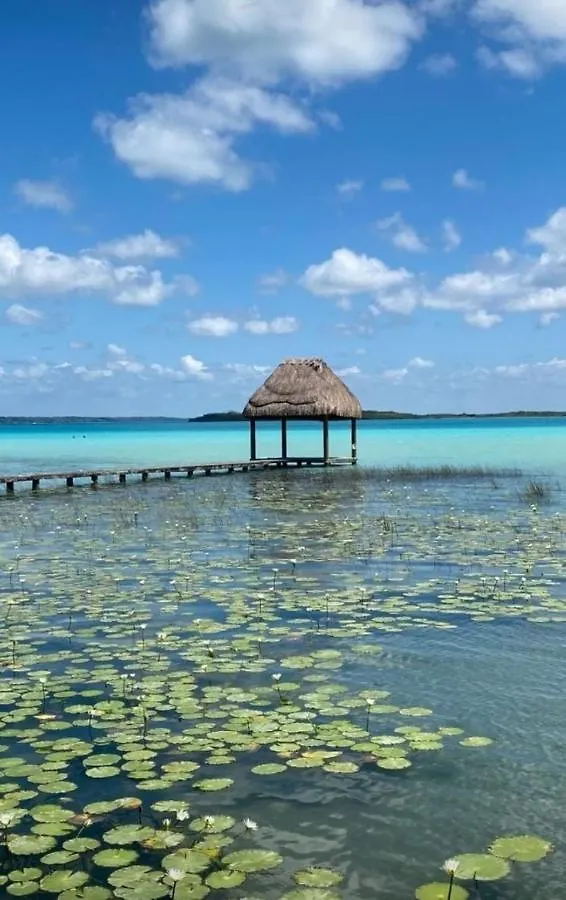 Campsite Muelle36 Hostel Bacalar Mexico