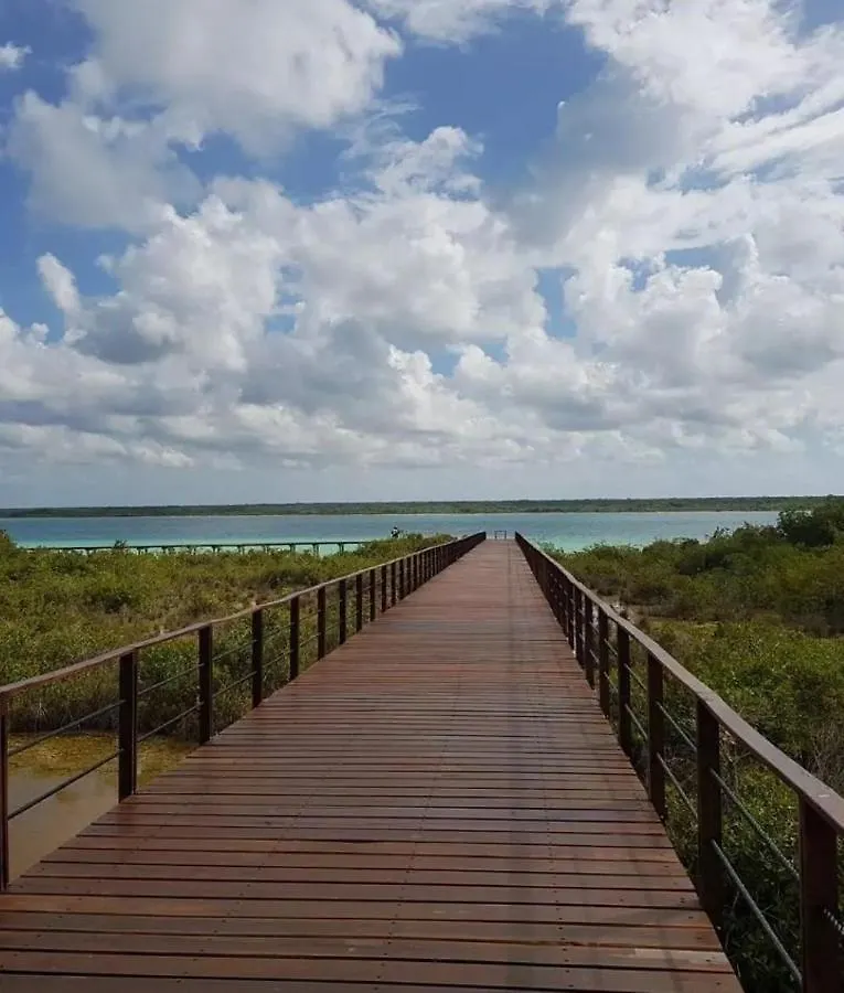 Campsite Muelle36 Hostel Bacalar