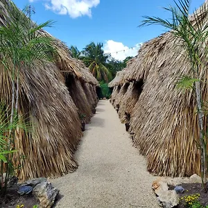 Hakuna Matata Glamping Campsite